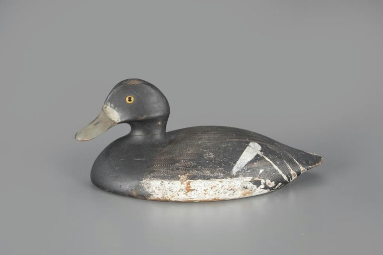 Addie Nichol – Bluebill Hen – 2024