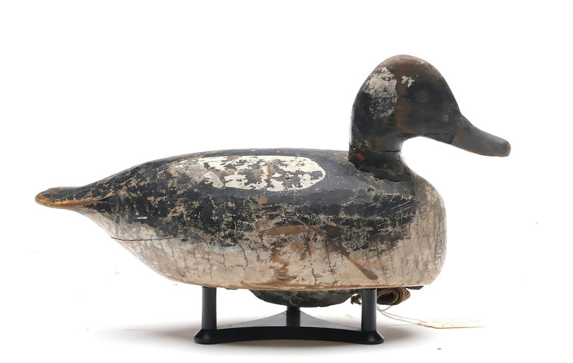 Miles Hancock – Bufflehead – 2025