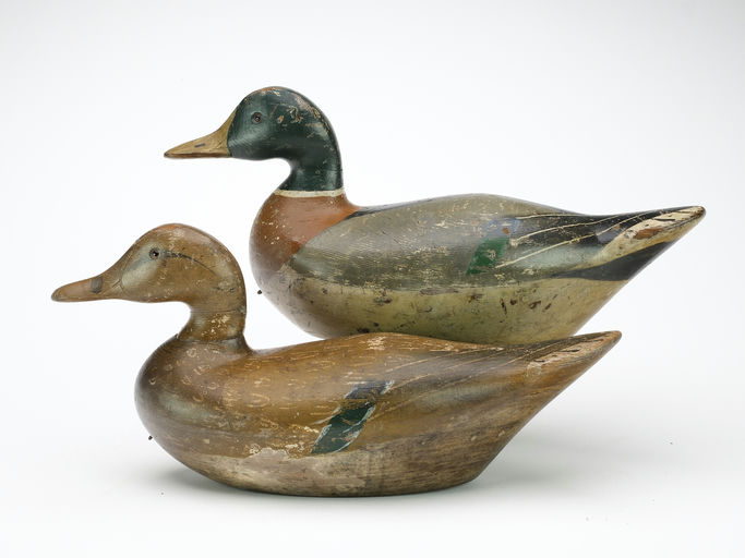 Charles Bergman – Mallard – 2024
