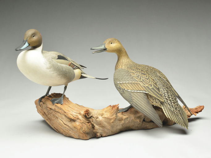 Oliver Lawson – Pair of Pintail – 2024