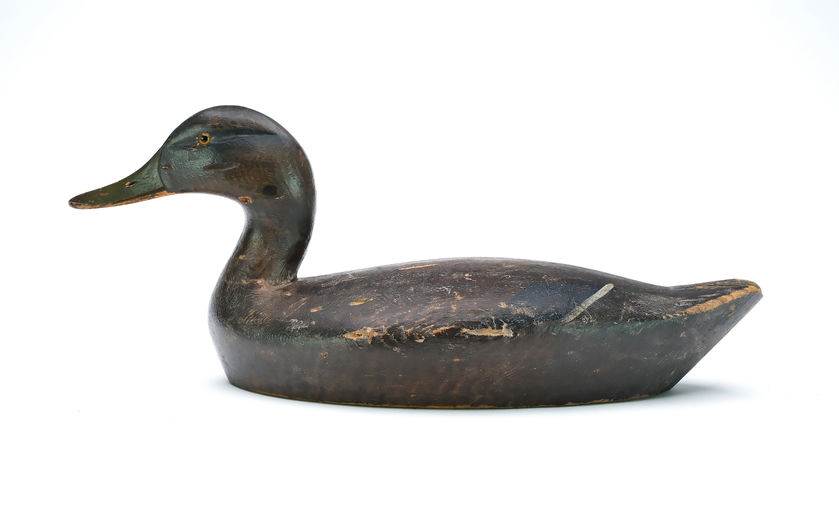 Chauncey Wheeler – Black Duck – 2025