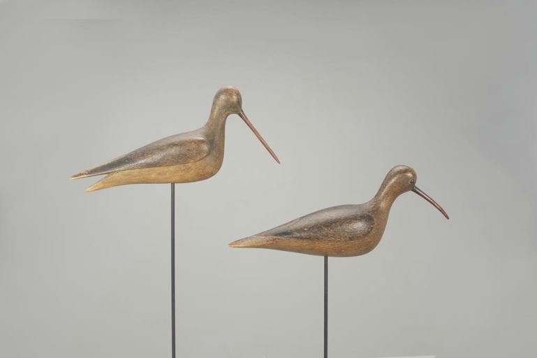 Mark McNair – Two Shorebirds – 2022