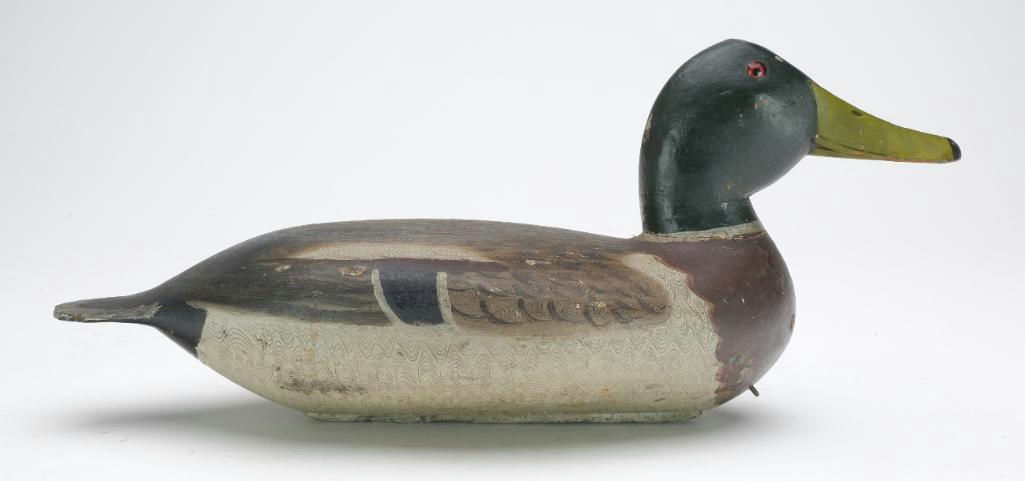 Robert Elliston – Mallard – 2023