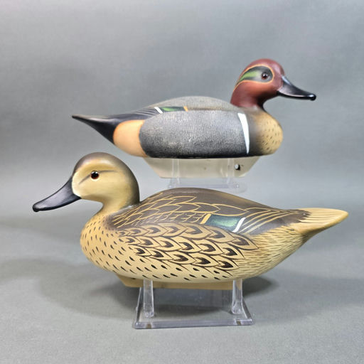 Charlie Joiner – Green-winged teal – 2026