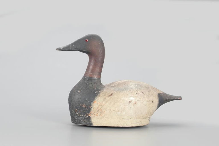 Joseph Sieger – High-head Canvasback Drake – 2022
