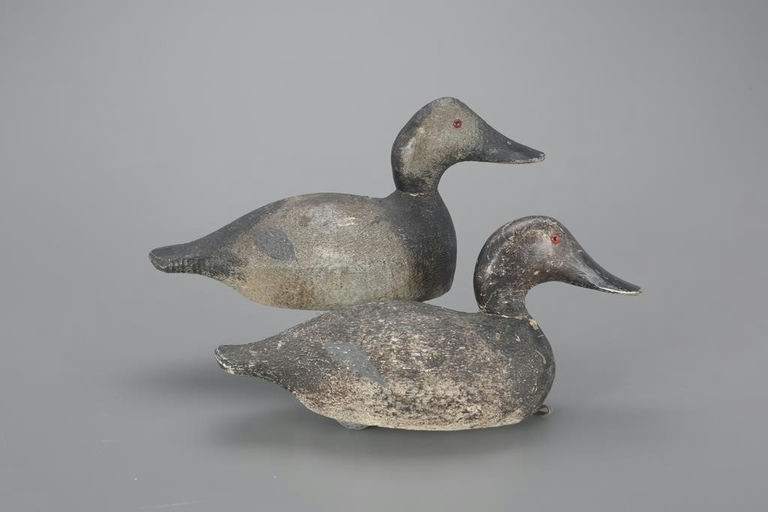 Evans Decoy Company – Two Canvasback Hens – 2023