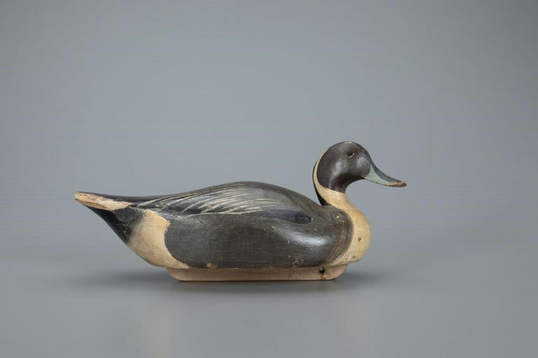 Ward Brothers – Pintail Drake – 2020