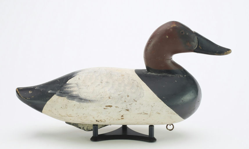 Charlie Joiner – Canvasback – 2024