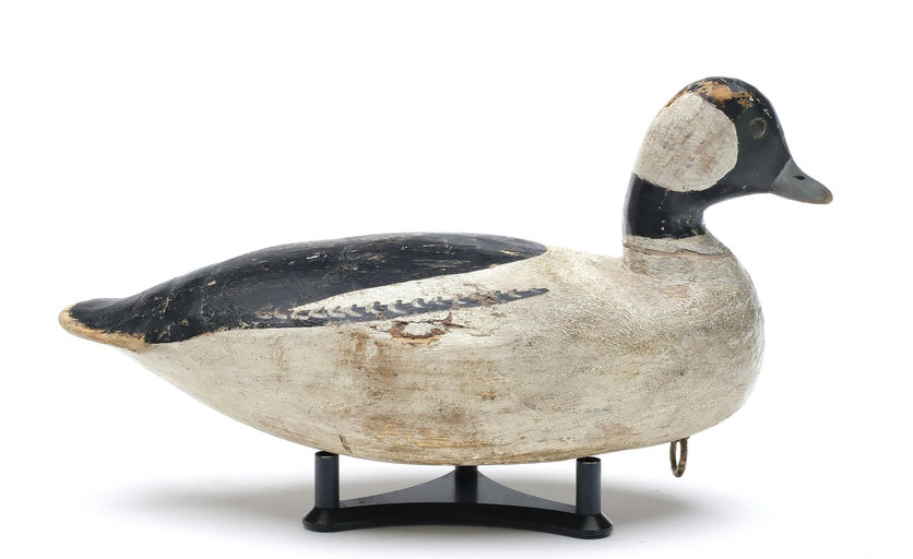 Ira Hudson – Bufflehead – 2025