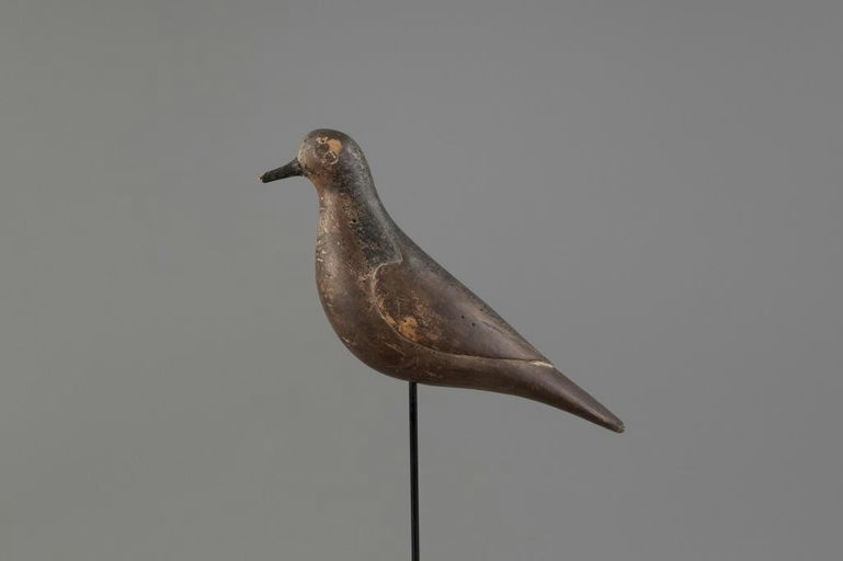 William H. Southard – Black Bellied Plover – 2025