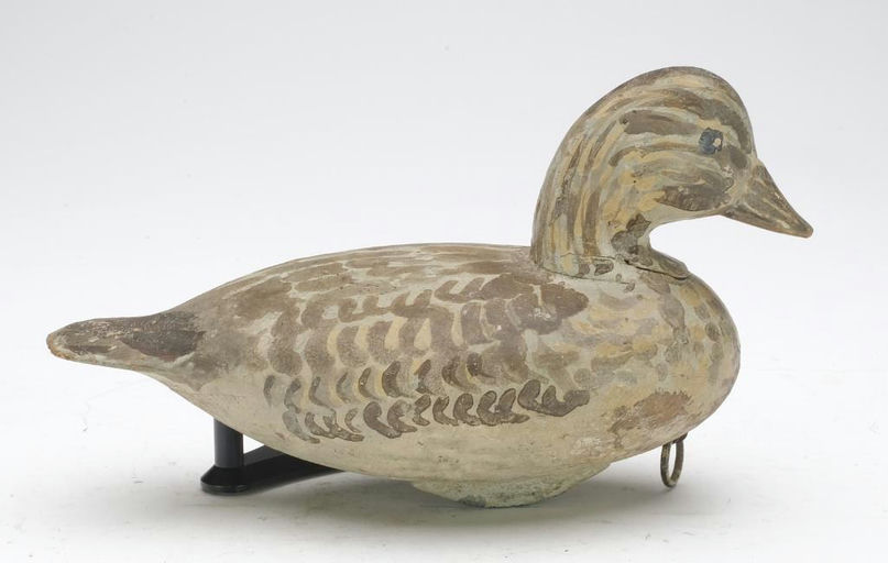 Ira Hudson – Green Wing Teal Hen – 2023