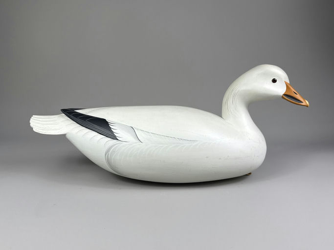 George Strunk – Snow goose – 2026