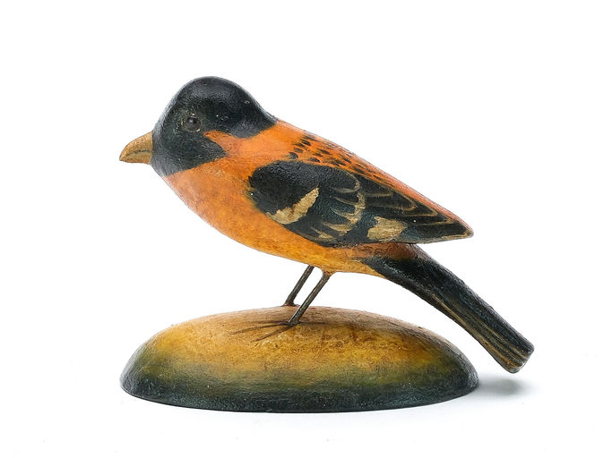 Frank Finney – Black Headed Grosbeak – 2025