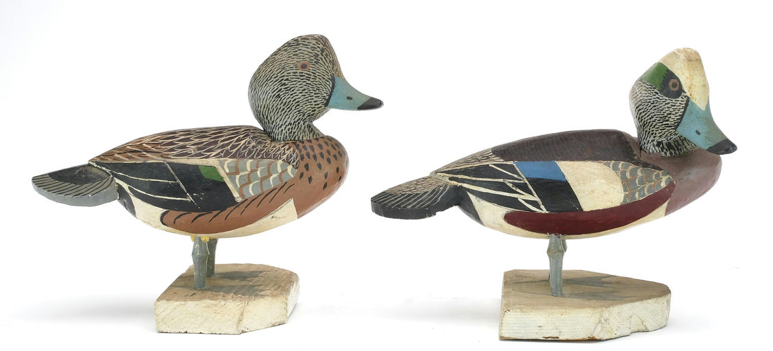 Lloyd Tyler – Wigeon – 2024