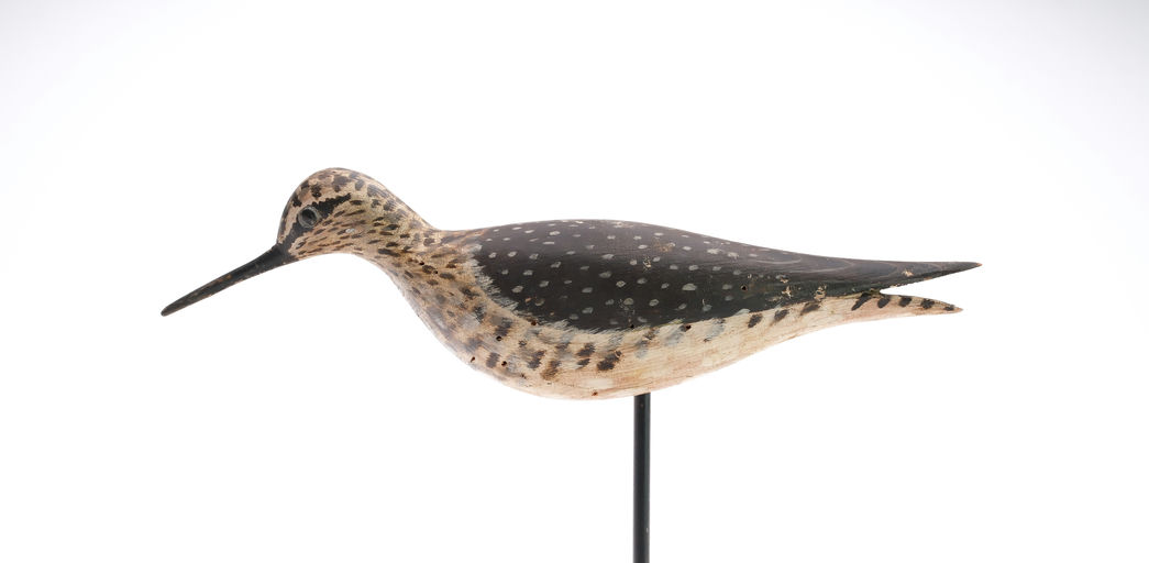 Elmer Crowell – Yellowlegs – 2025