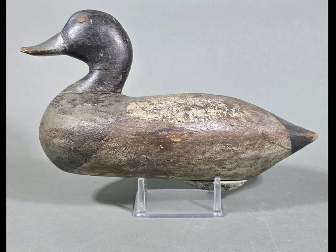 R. Madison Mitchell – Scaup – 2026