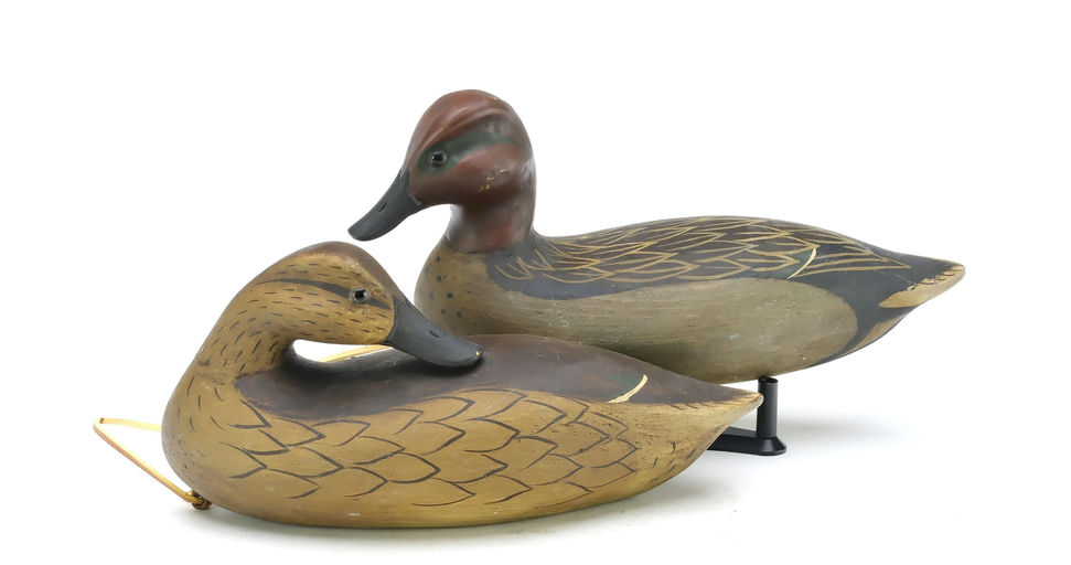 Pat Gregory – Green-winged Teal – 2025