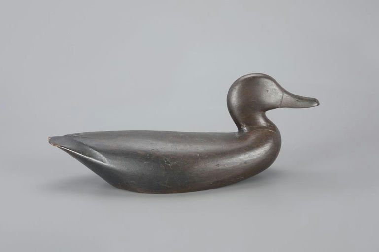 Leigh F. Witherspoon – Rare Black Duck – 2023