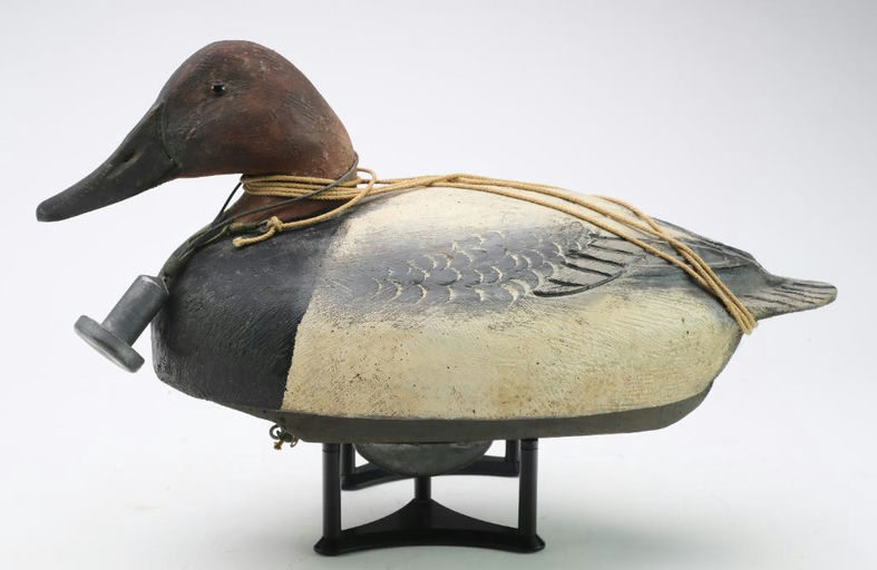 Ben Schmidt – Canvasback – 2024