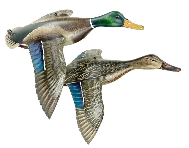 Mike Borrett – Flying Mallard Pair – 2024
