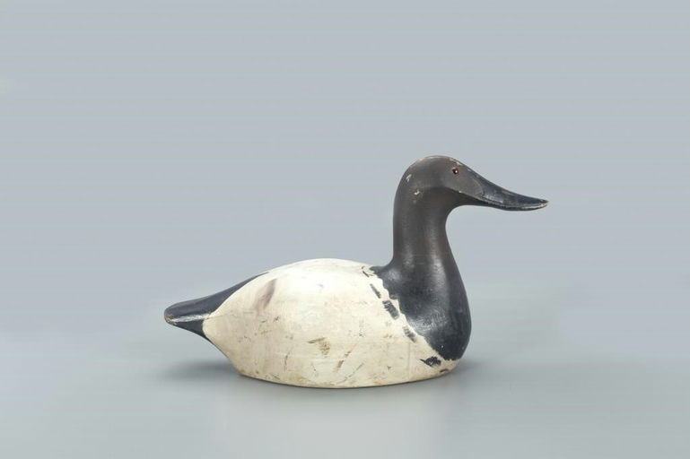 Marshall Williams – Canvasback Drake – 2022