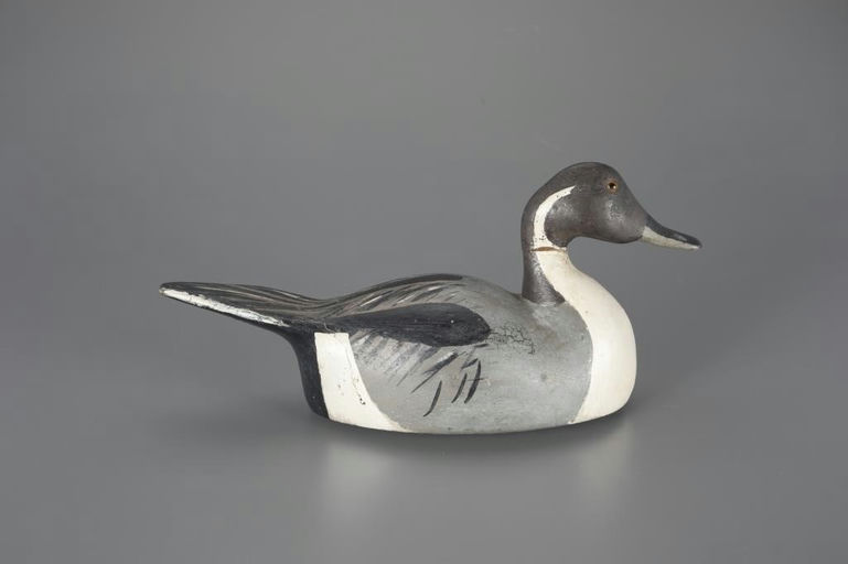 Elmer Biondi – Pintail – 2024