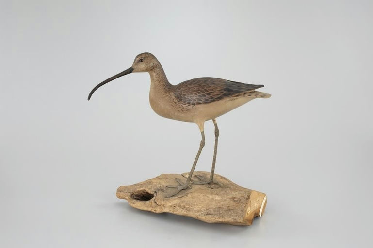 Milton C. Weiler – Decorative Curlew – 2026