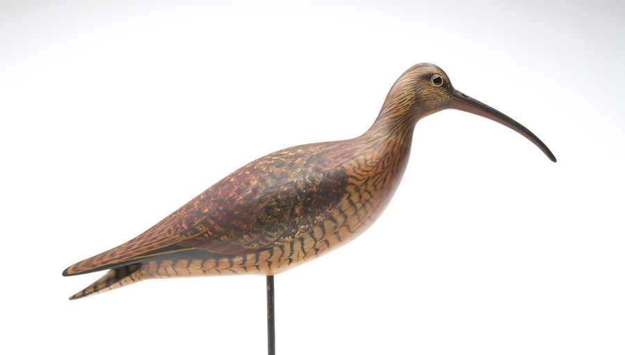 Bill Gibian – Curlew – 2026