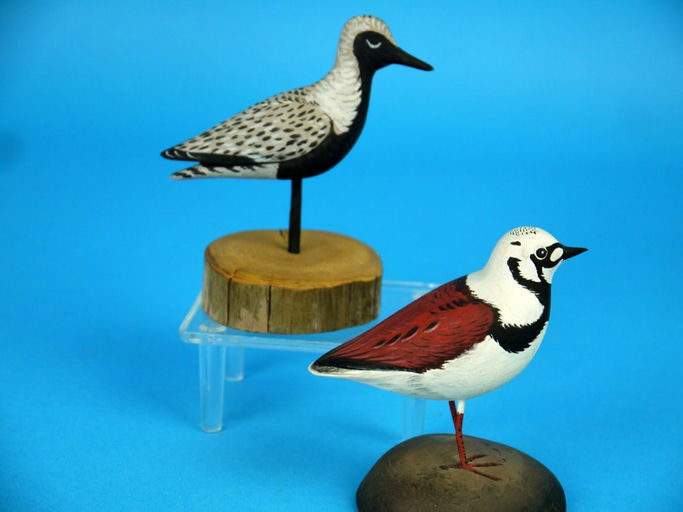 Anthony Hillman – Miniature Ruddy Turnstone – 2026
