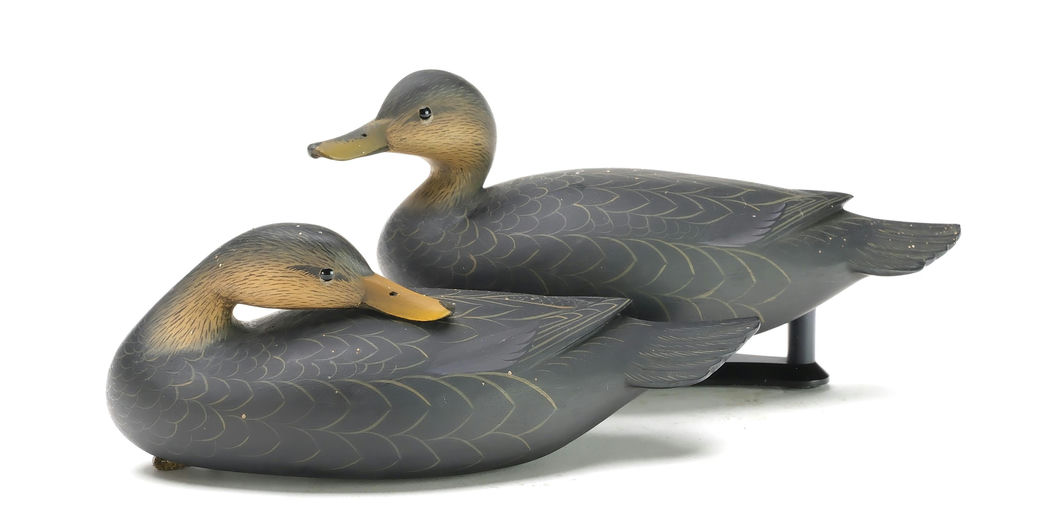 George Strunk – Pair of Black Ducks – 2025