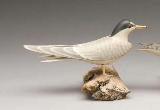 James Lapham – Life-Size Least Tern – 2009