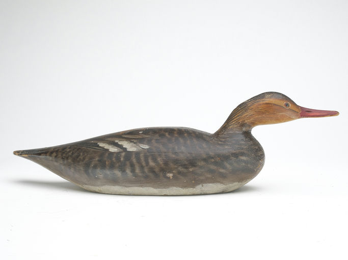 Elmer Crowell – Merganser Hen – 2023