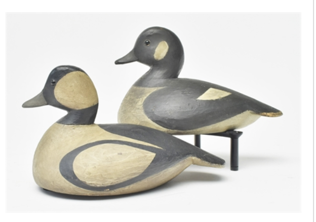 Mark McNair – Bufflehead – 2022