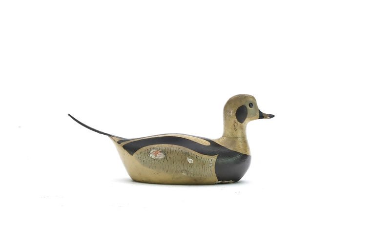 George Boyd – Duck – 2025