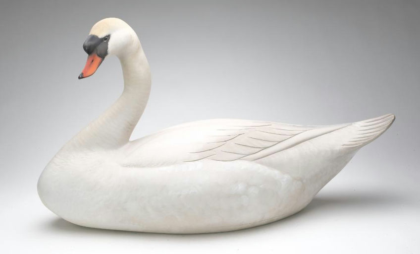 Sean Sutton – Swan – 2023