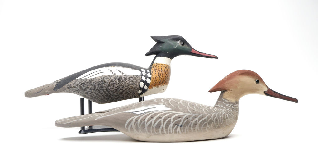 Grayson Chesser – Pair of Red-breasted Merganser – 2026