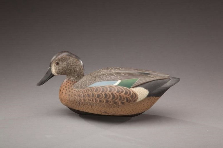 William Schultz – Blue-winged Teal – 2012