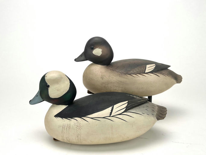 Bob White – Bufflehead Pair – 2024