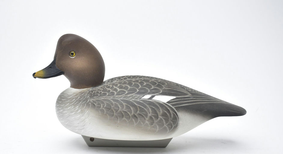 Charlie Joiner – Goldeneye Hen – 2025