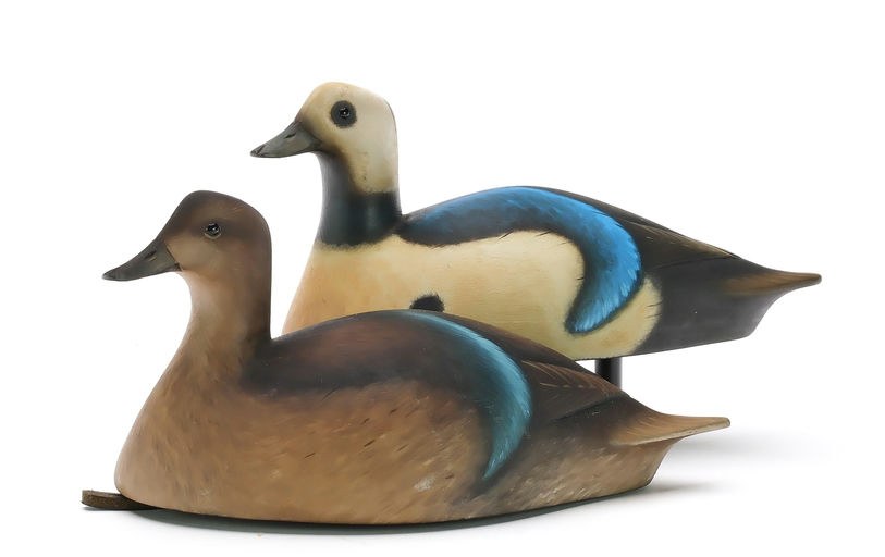 Sean Sutton – Miniature Pair of Steller's Eider – 2024