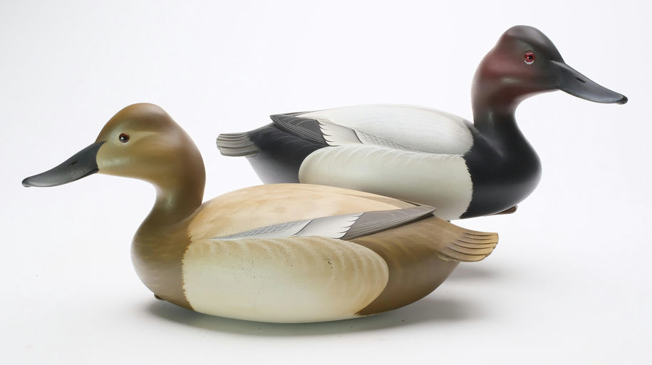 George Strunk – Pair of Canvasbacks – 2024