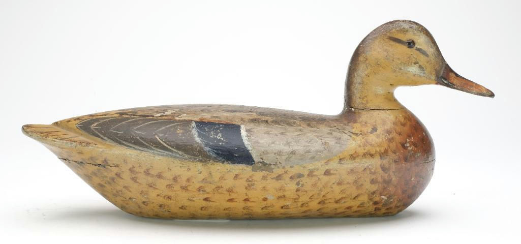 Charles Perdew – Mallard Hen – 2023