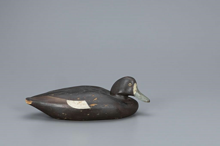 Shang Wheeler – Broadbill Hen – 2019