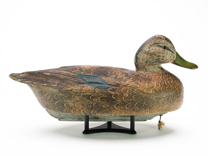 Ben Schmidt – Black Duck – 2025