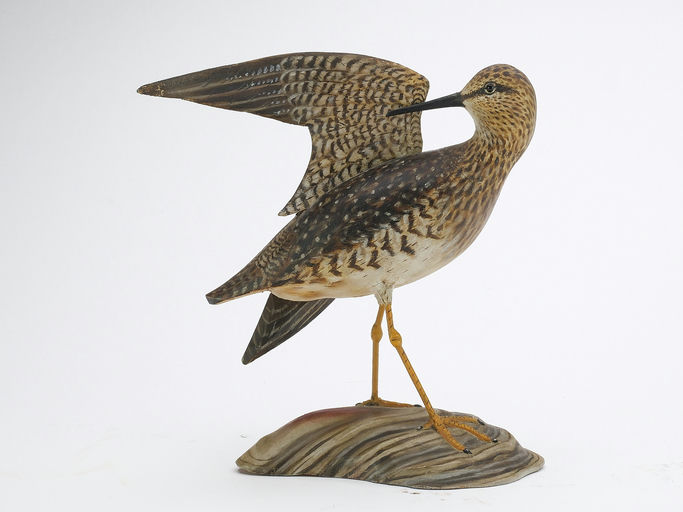 Elmer Crowell – Preening Lesser Yellowlegs – 2024