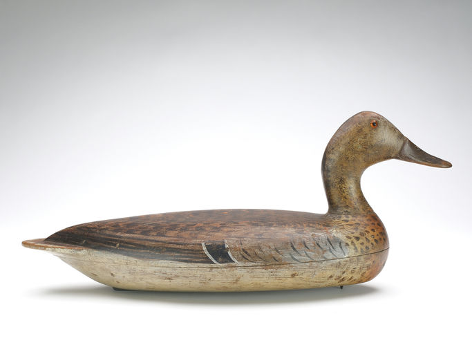 Bert Graves – Mallard – 2024