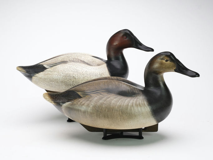 Jim Schmiedlin – Pair of Canvasback – 2024
