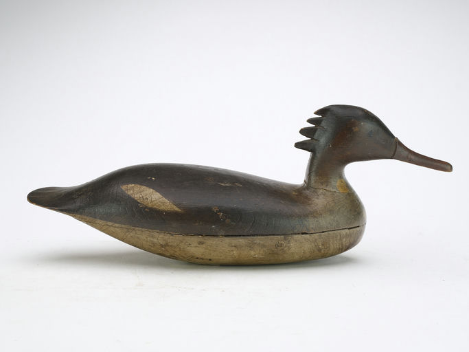 Harry V. Shourds – Merganser – 2024