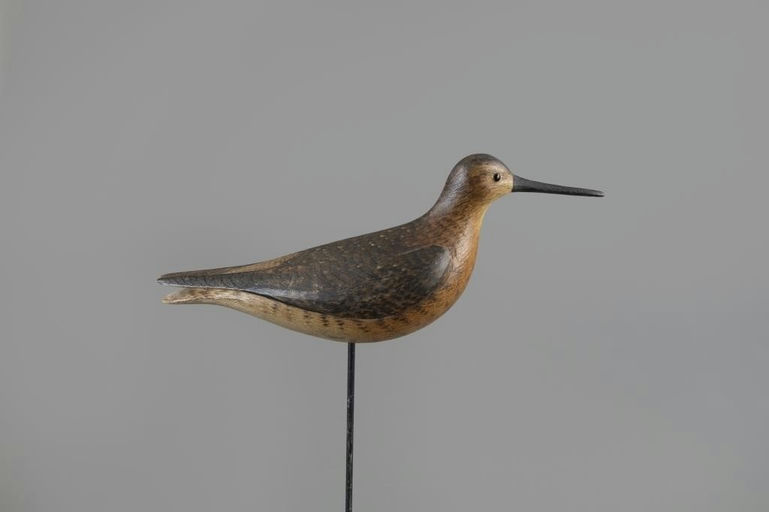 Mark McNair – Dowitcher – 2025