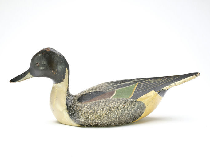 Ward Brothers – Mallard – 2025